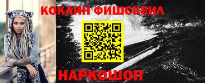 СК Кингисепп