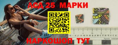 СК Кингисепп