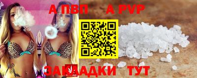 СК Кингисепп