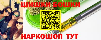 СК Кингисепп
