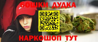 дживик Кимры