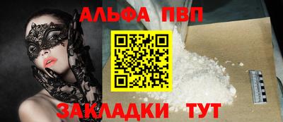 СК Кингисепп