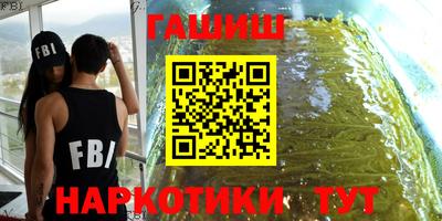 СК Кингисепп