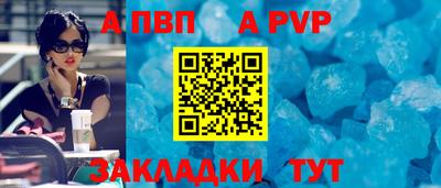 СК Кингисепп