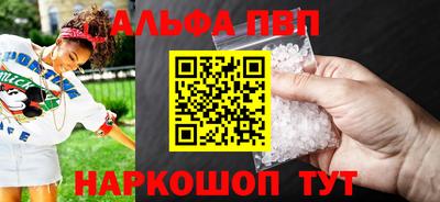 СК Кингисепп