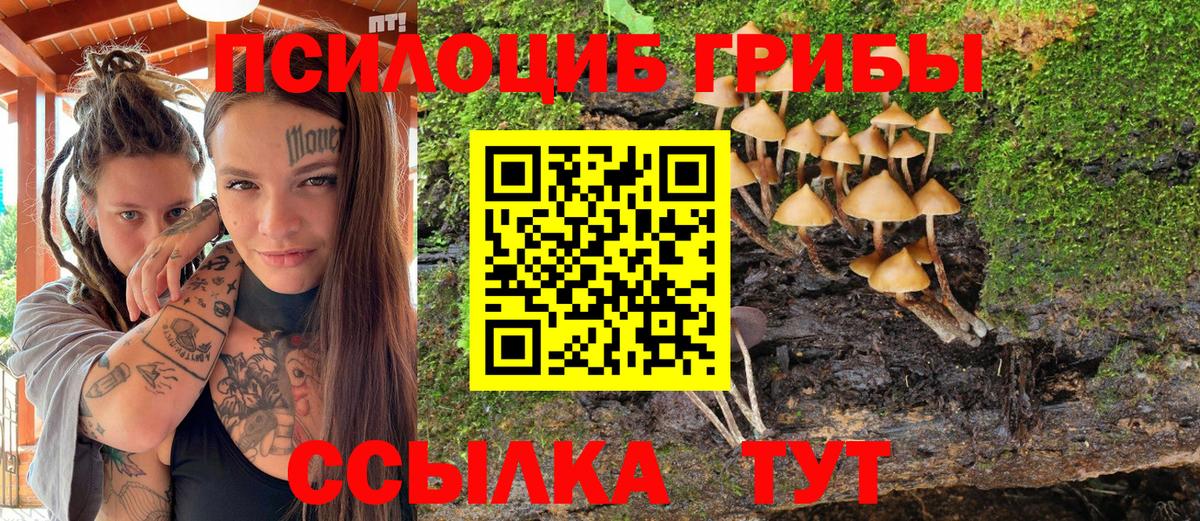 Псилоцибиновые грибы Cubensis  Псилоцибиновые грибы мицелий  Вход с VPN  Урюпинск 