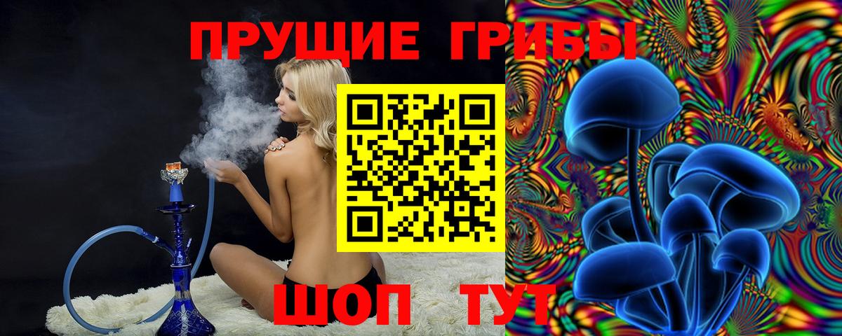Псилоцибиновые грибы прущие грибы Урюпинск